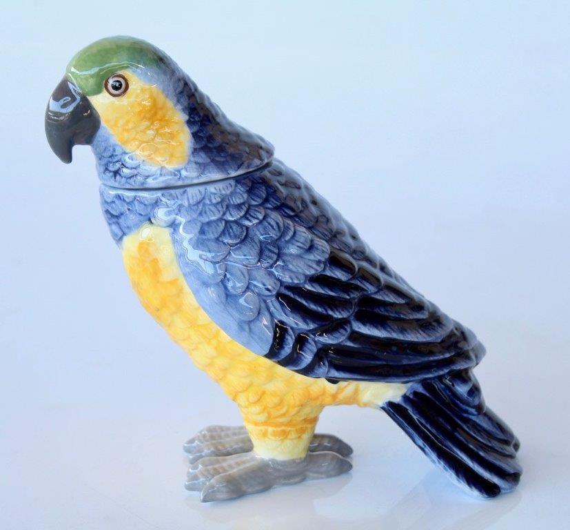Yellow & Blue Parrot Lid Head